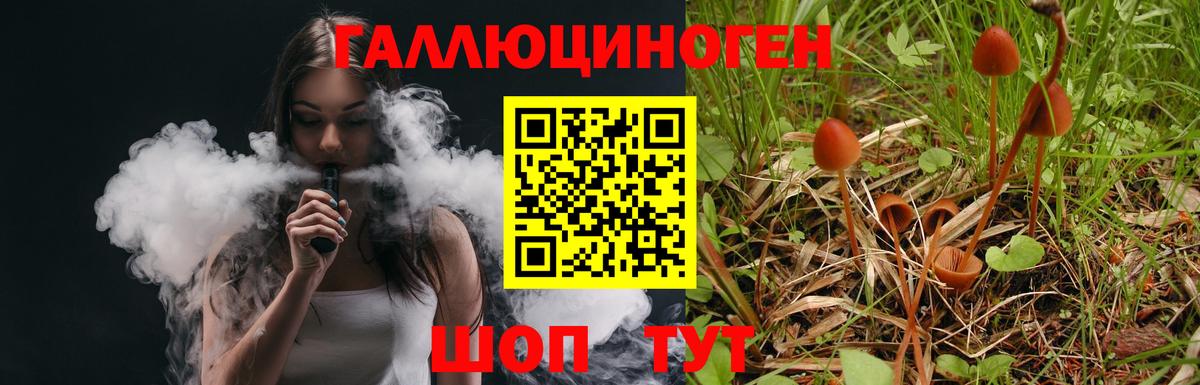 Псилоцибиновые грибы Psilocybe Татарск