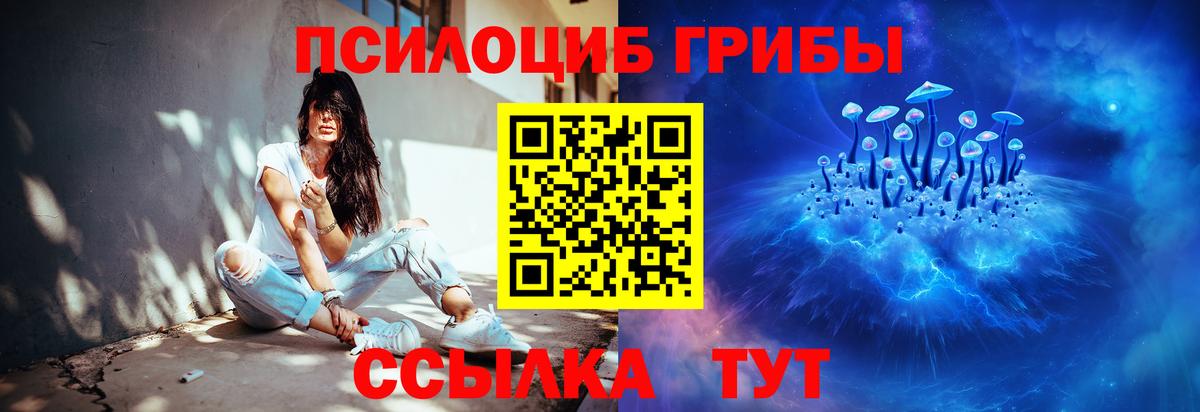Псилоцибиновые грибы Cubensis  Галлюциногенные грибы прущие грибы  где найти   Вход с VPN  Татарск 
