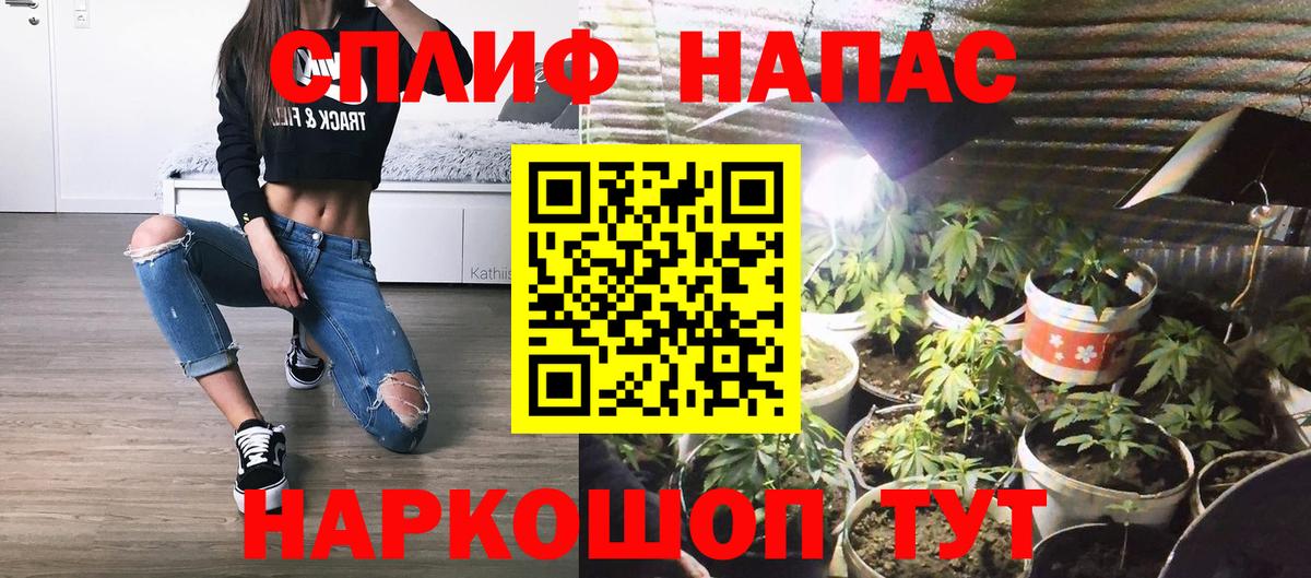 Каннабис план Татарск
